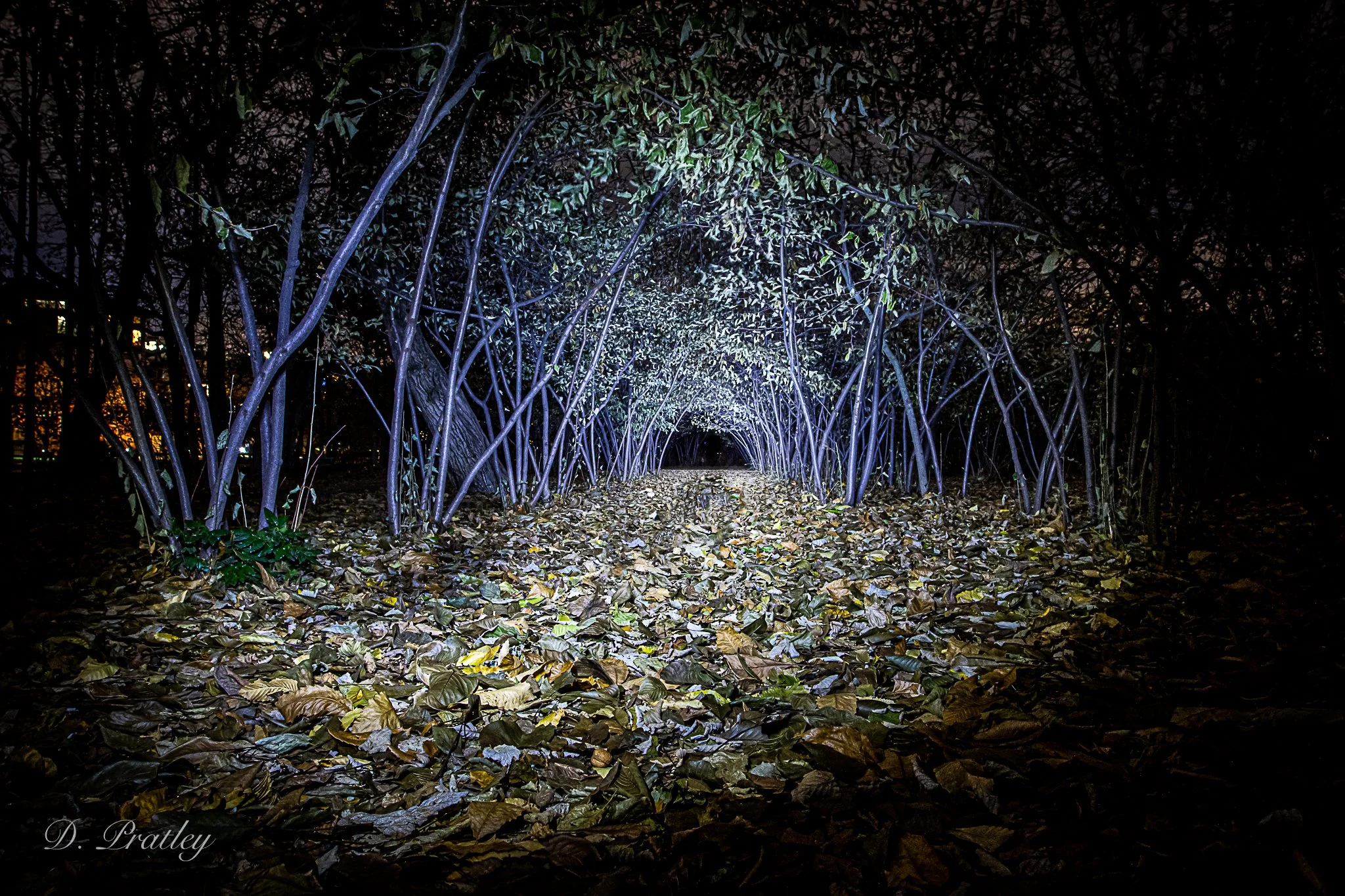 Creepy Hollow 2
