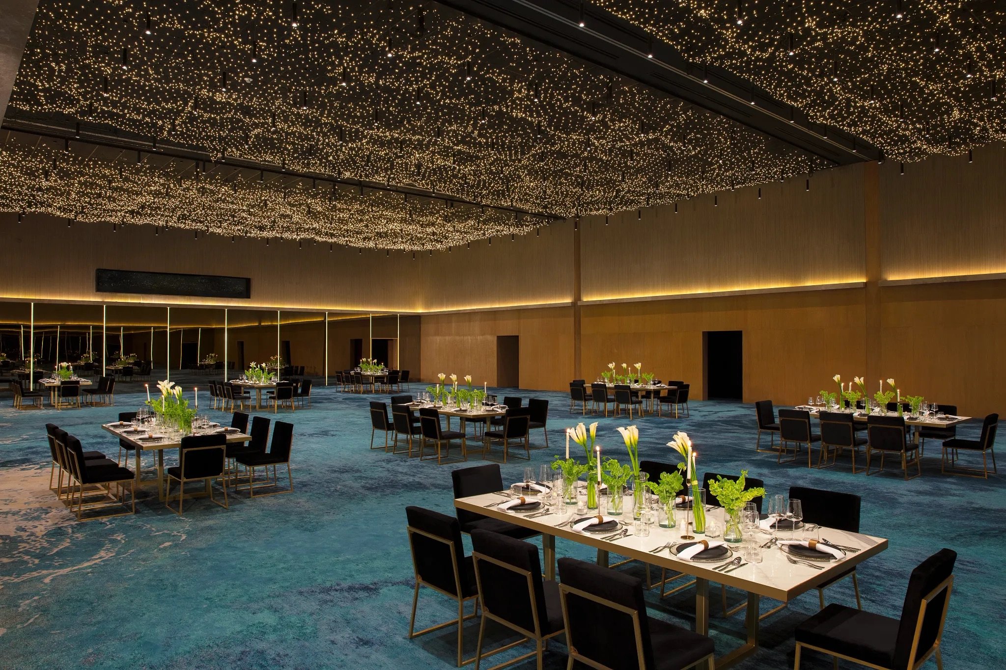 DREVC-GRP-Ballroom-1A-RGB-CB.jpeg
