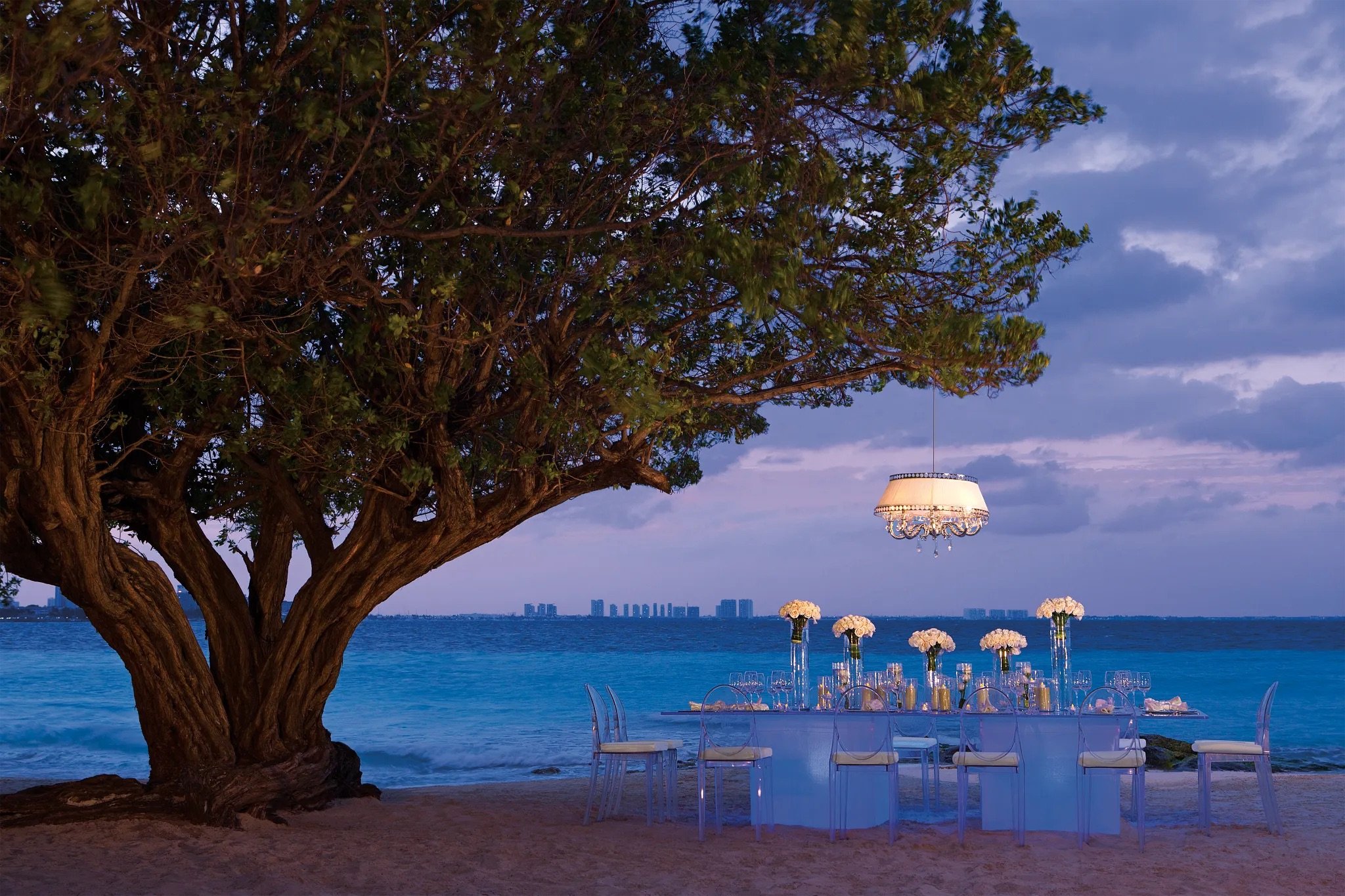 DRESC-WED-GalaDinner-Under-Tree-2A-CB.jpeg