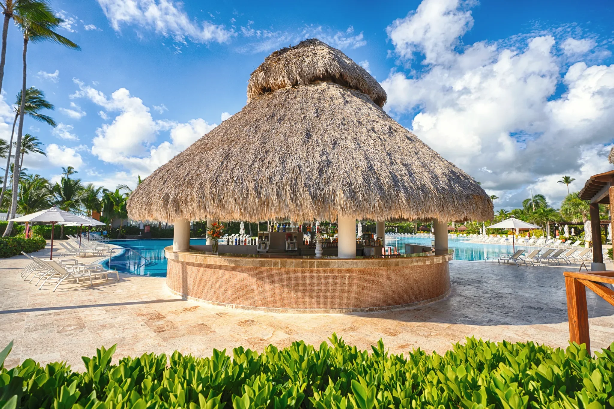 SERPC-BAR-Barracuda-01-SB.webp