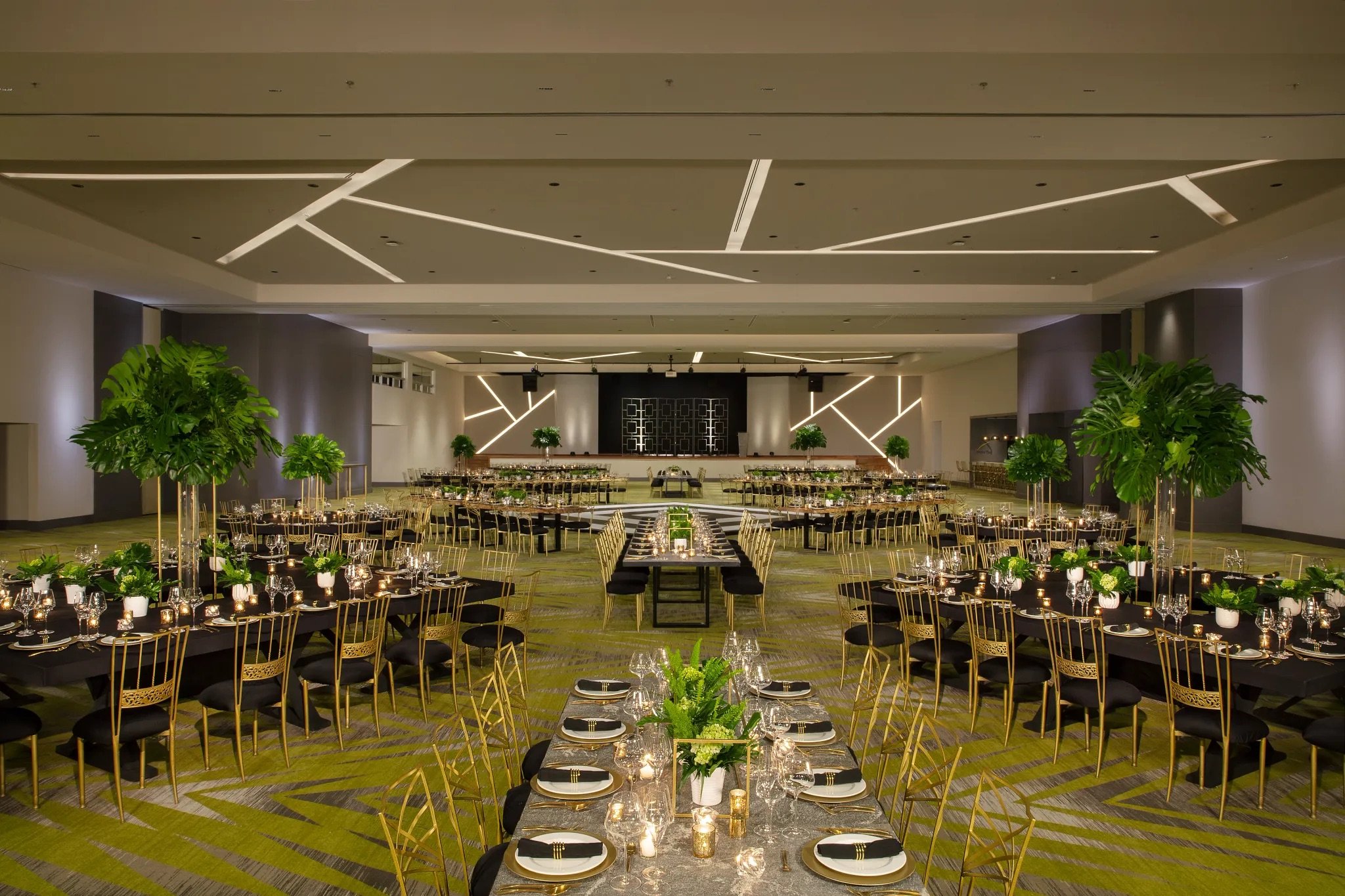 DRENA-GRP-Ballroom-Gala-2B-RGB-CB.jpeg
