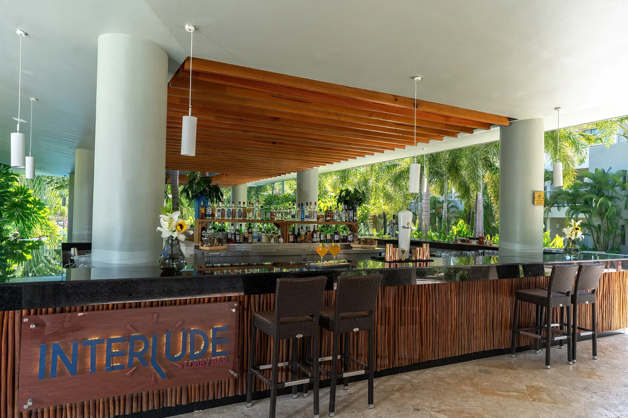 DRRPC-BAR-Interlude-03-SB.webp