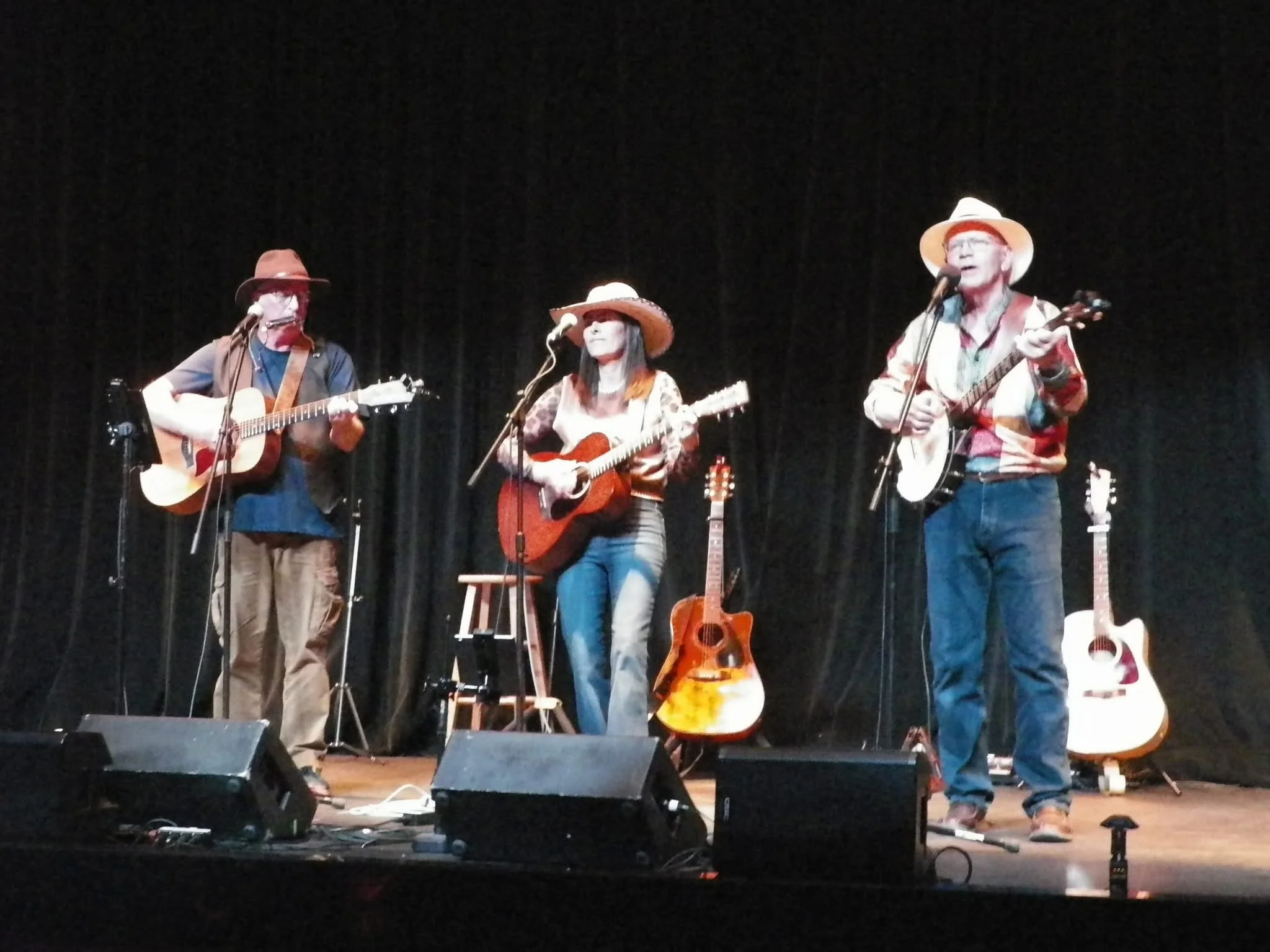 Live Music: The Porch Pickers