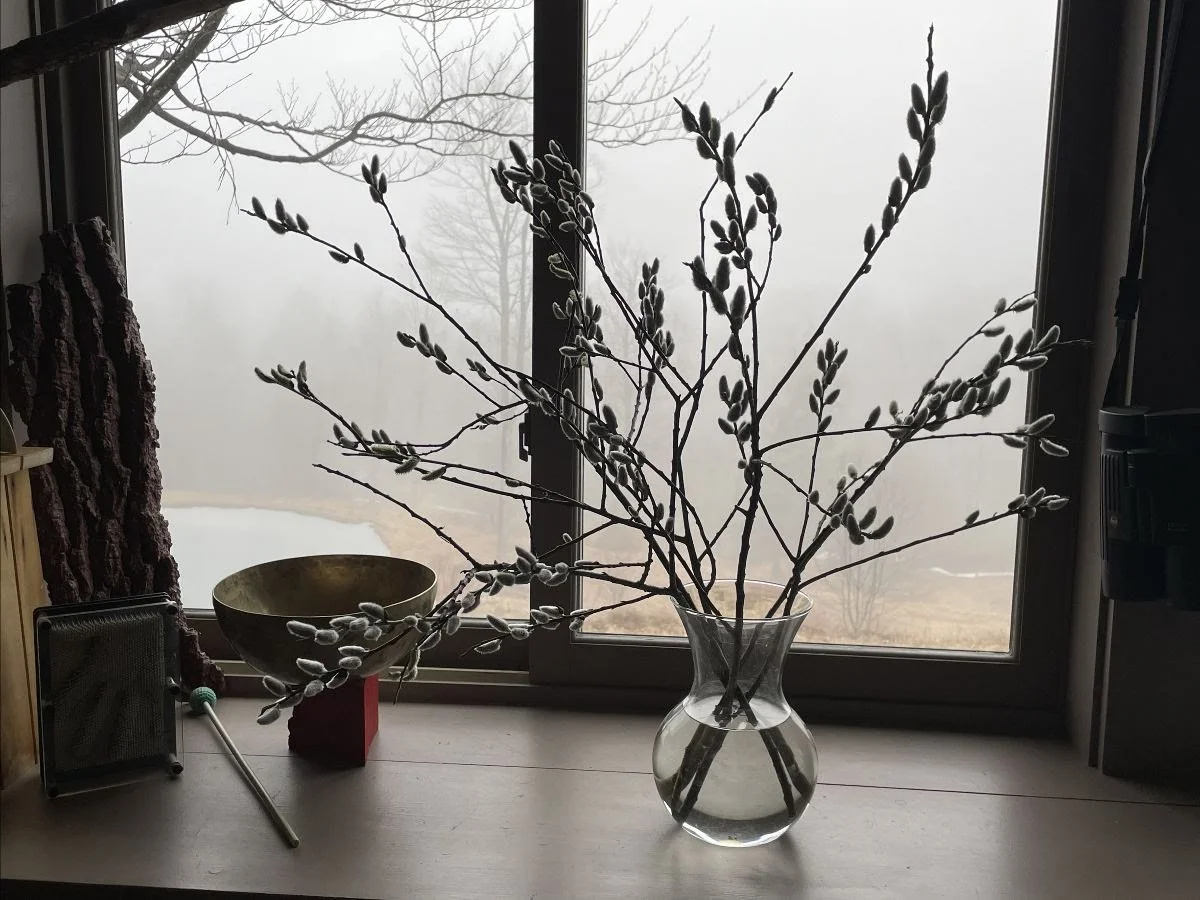 windowsill looking over a misty spring morning in rural Vermont