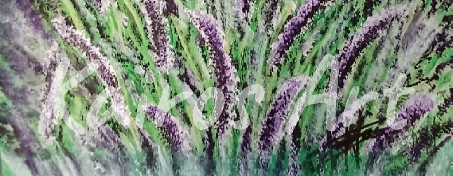 Lavender field 2