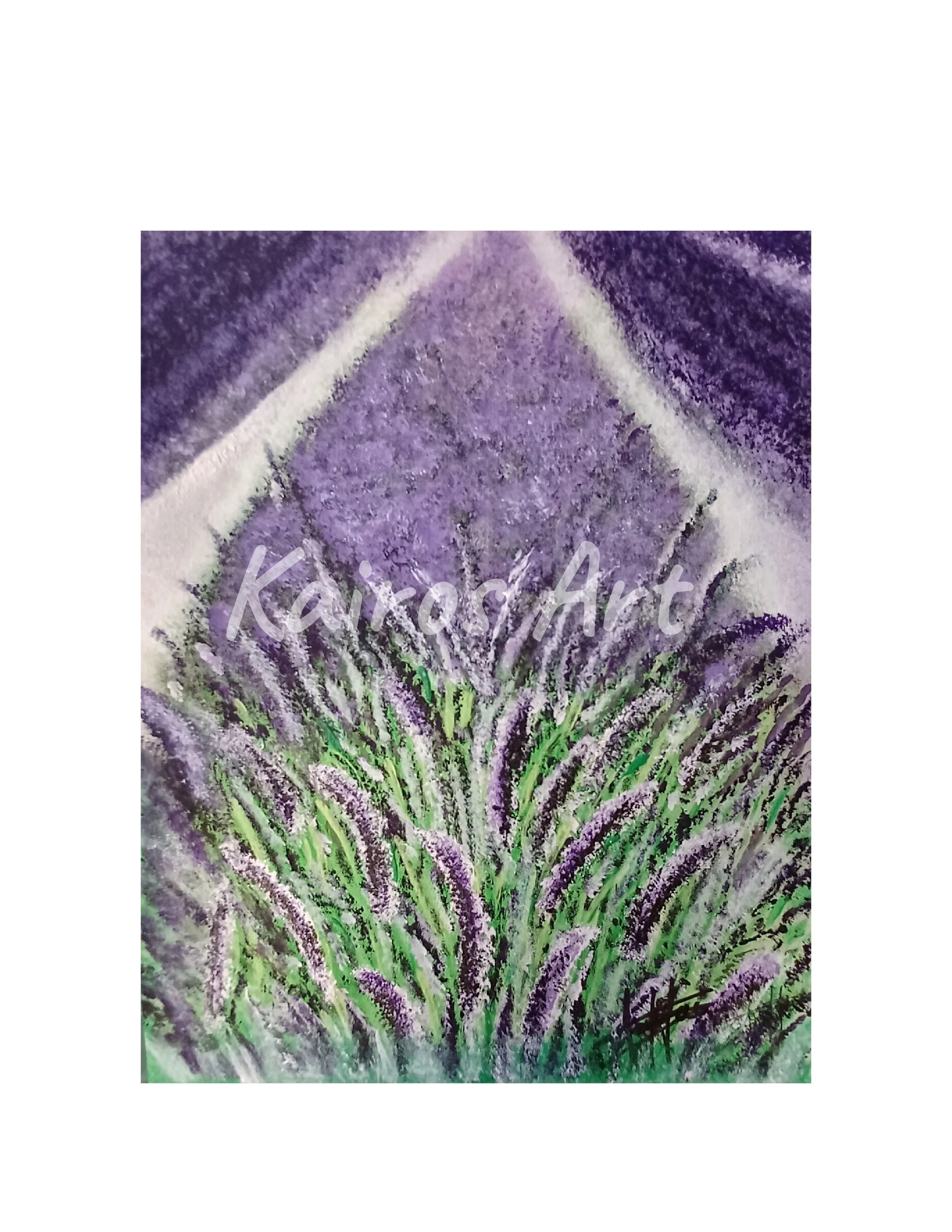 Lavender field 1