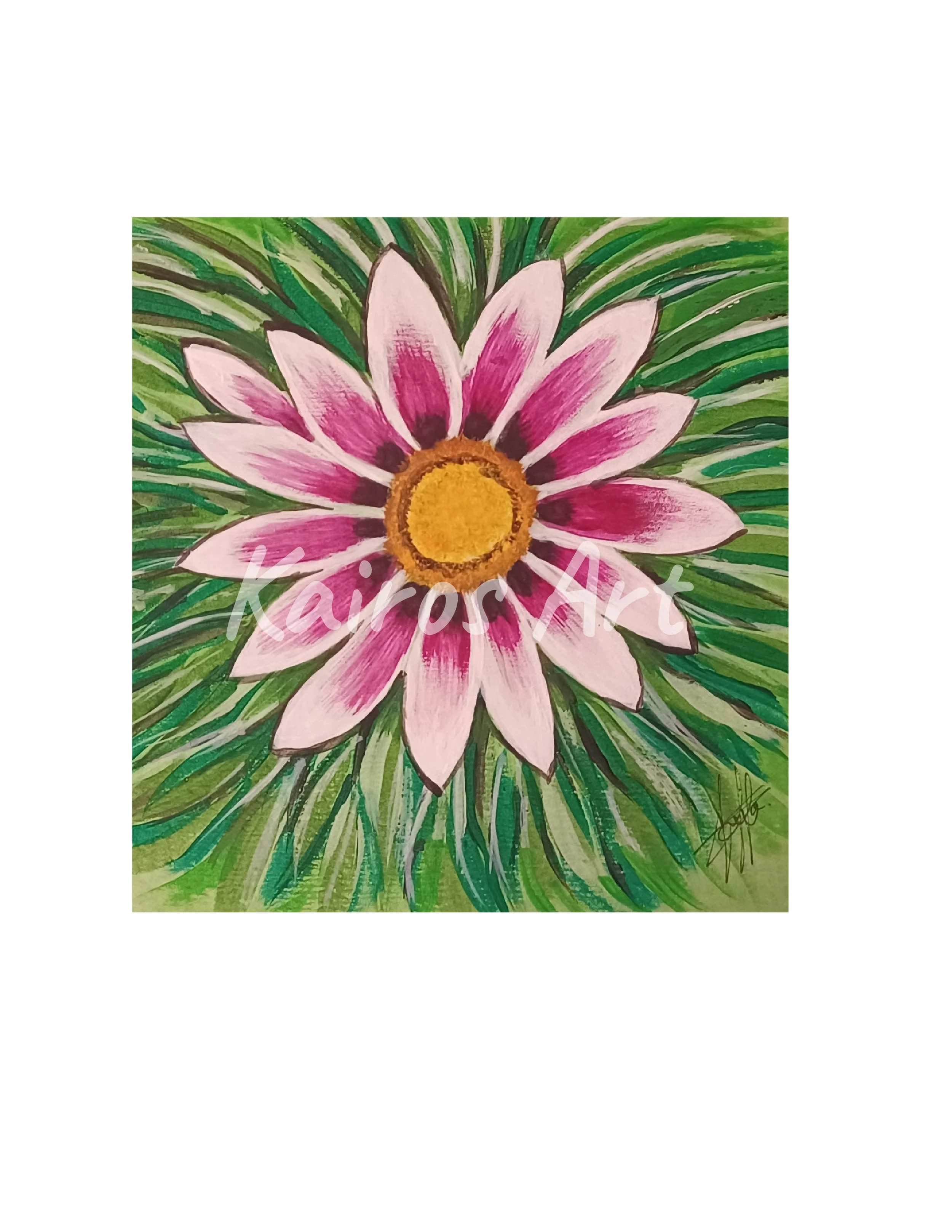 Gerbera