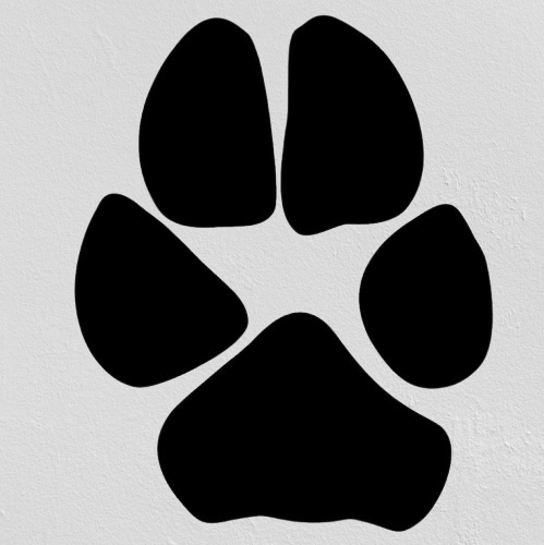 digitl_paw_2-removebg-preview.png
