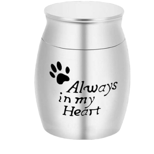 silver_always_mini-removebg-preview.png