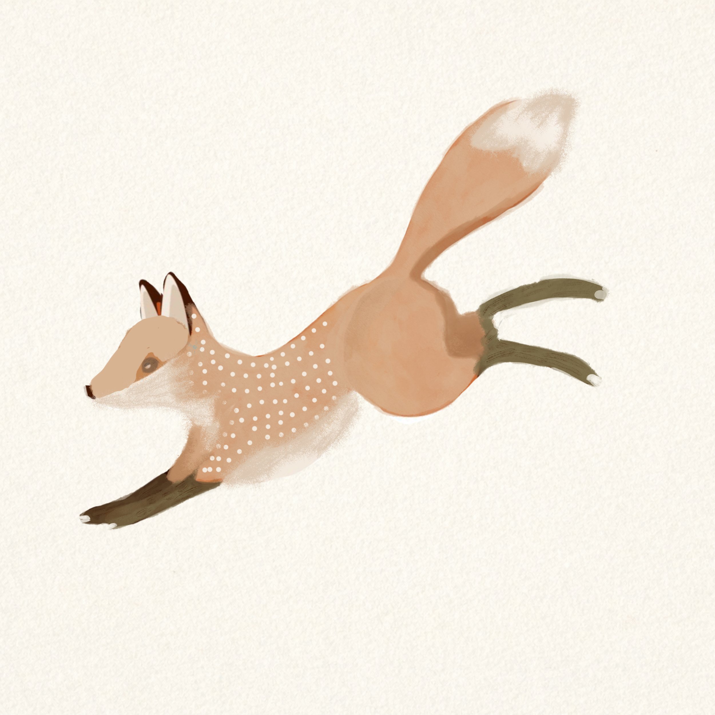 silver fox sspsd copy.jpg