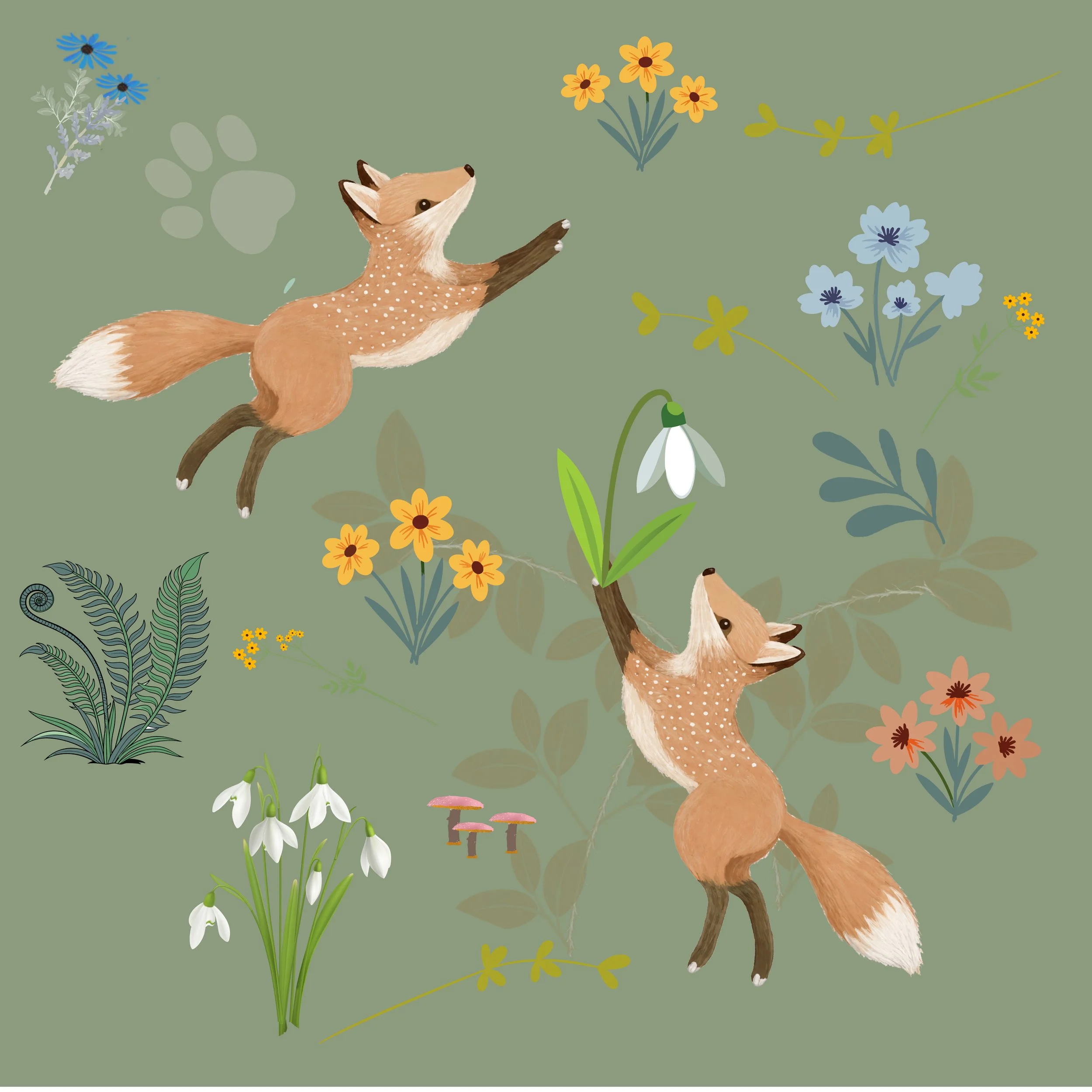 fox jump haven.jpg