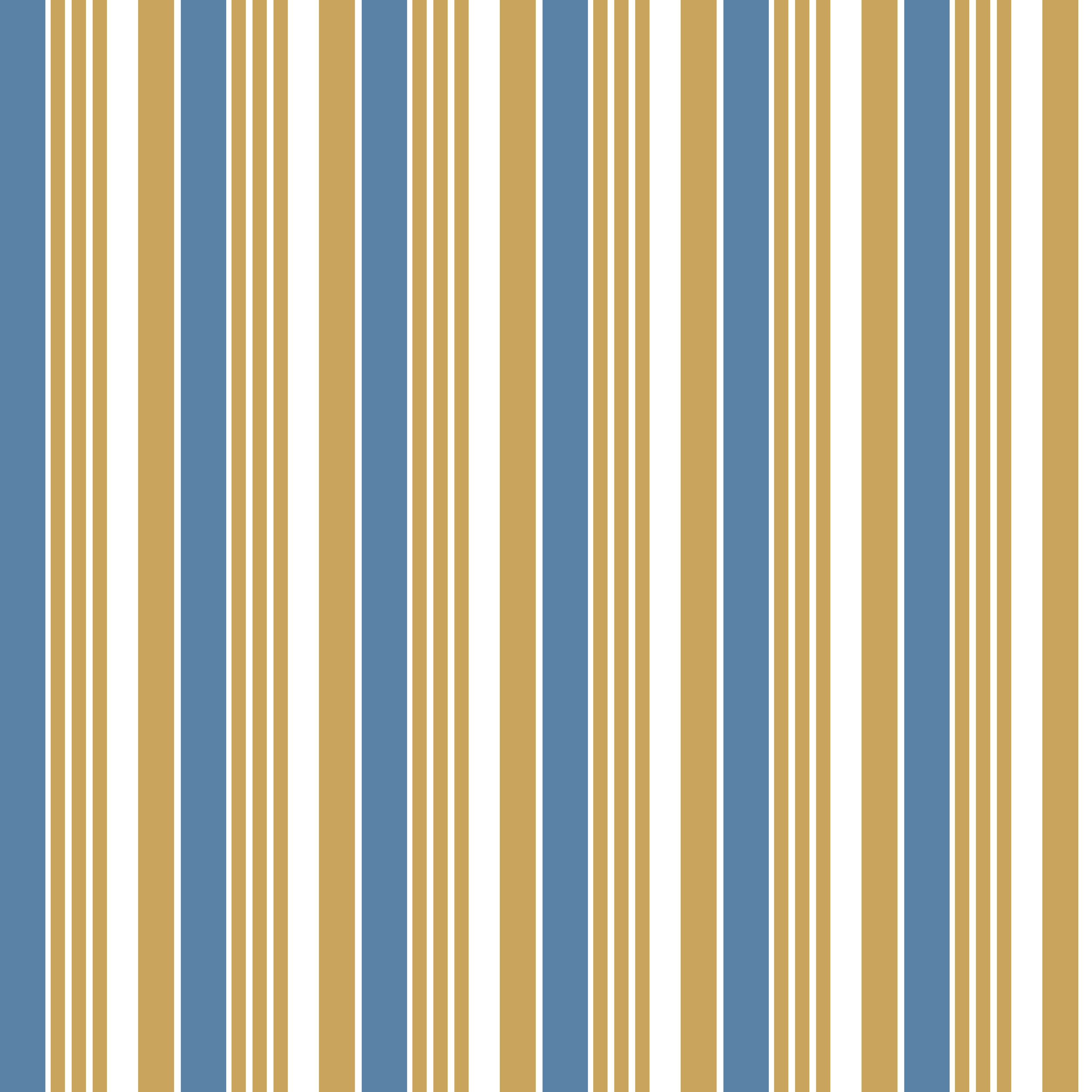 stripes anne blue.png