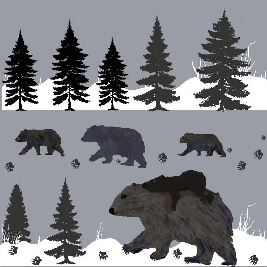b bear walk grey.jpg