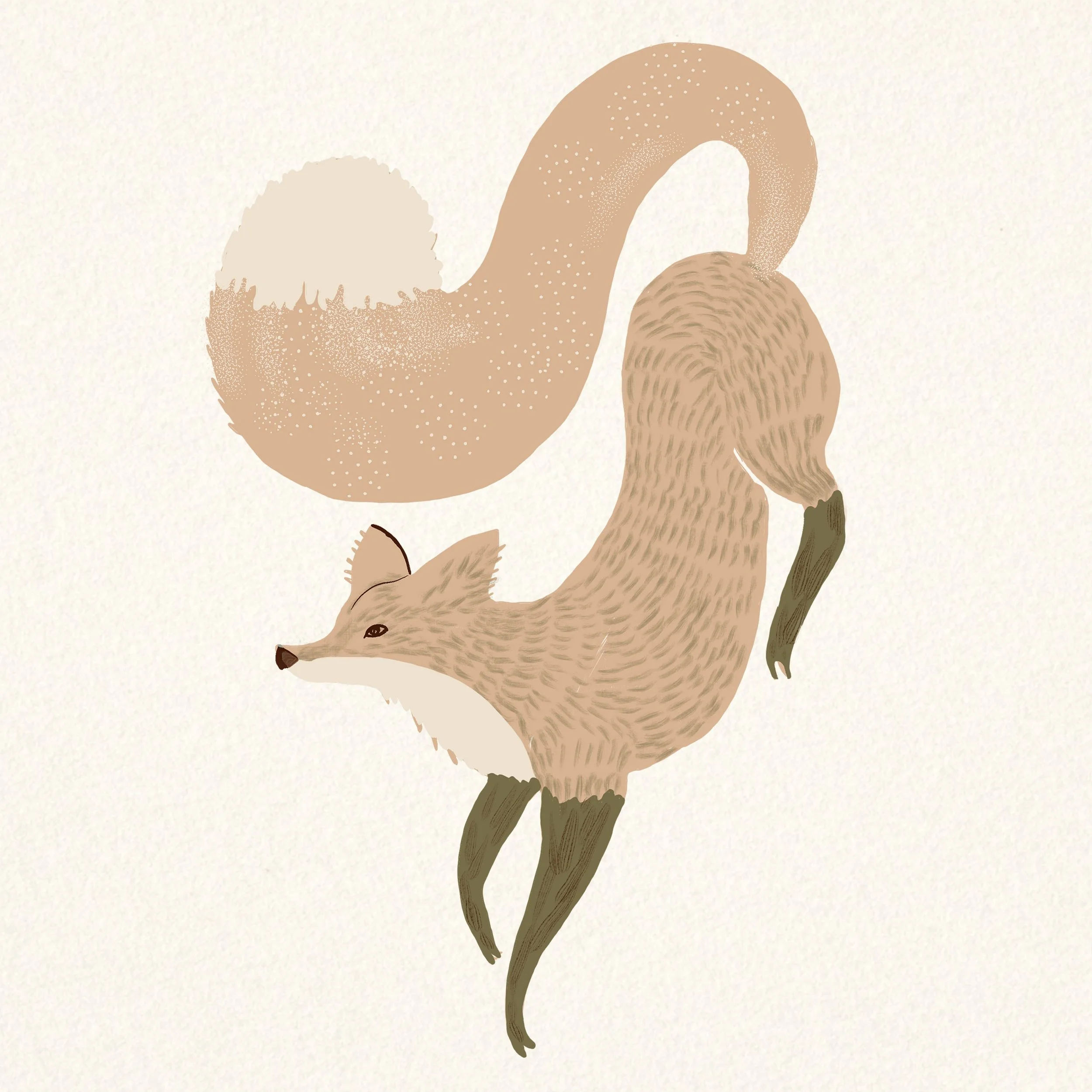 flamboyant foz ss copy.jpg