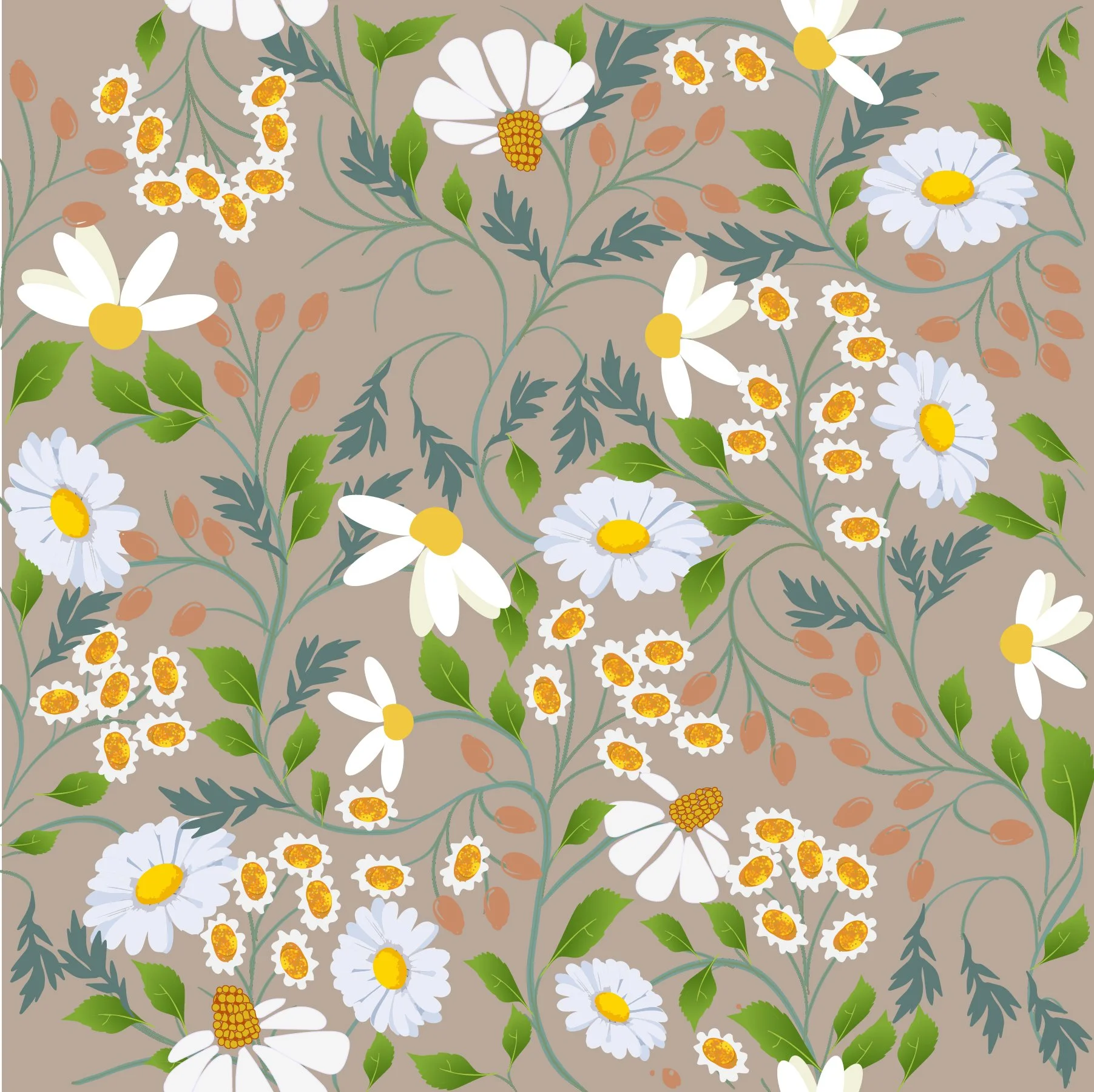 daisy. a trailing pattern.jpg