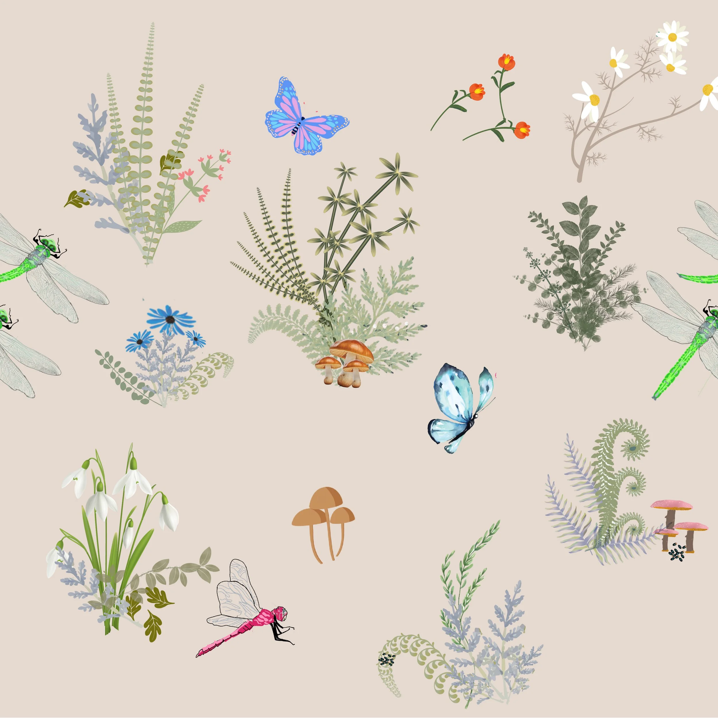 17s_meadow_morning.jpg