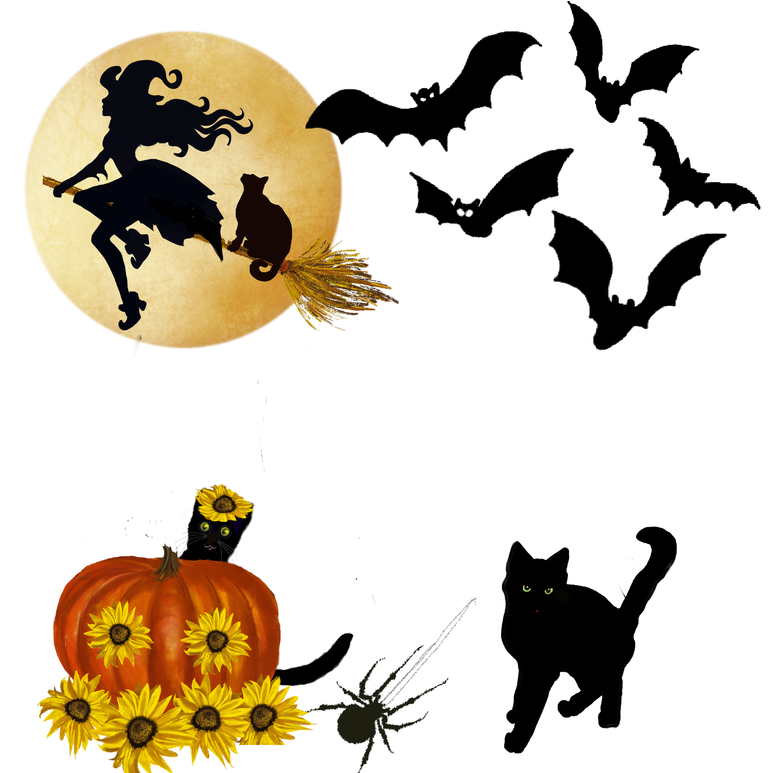 poster_for_vector_.png