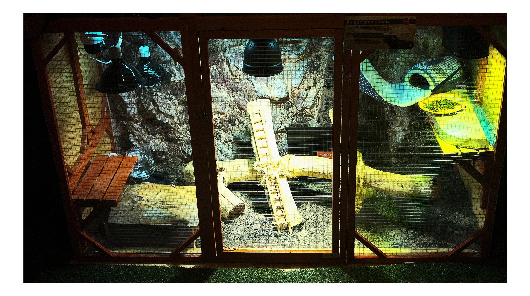 Rocco_Enclosure.jpg