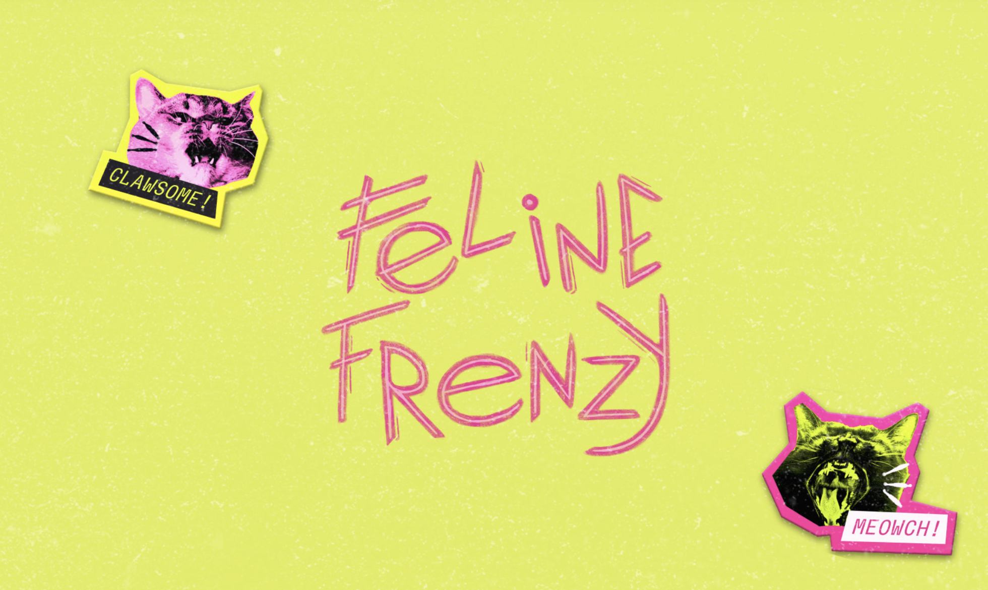 Feline Frenzy