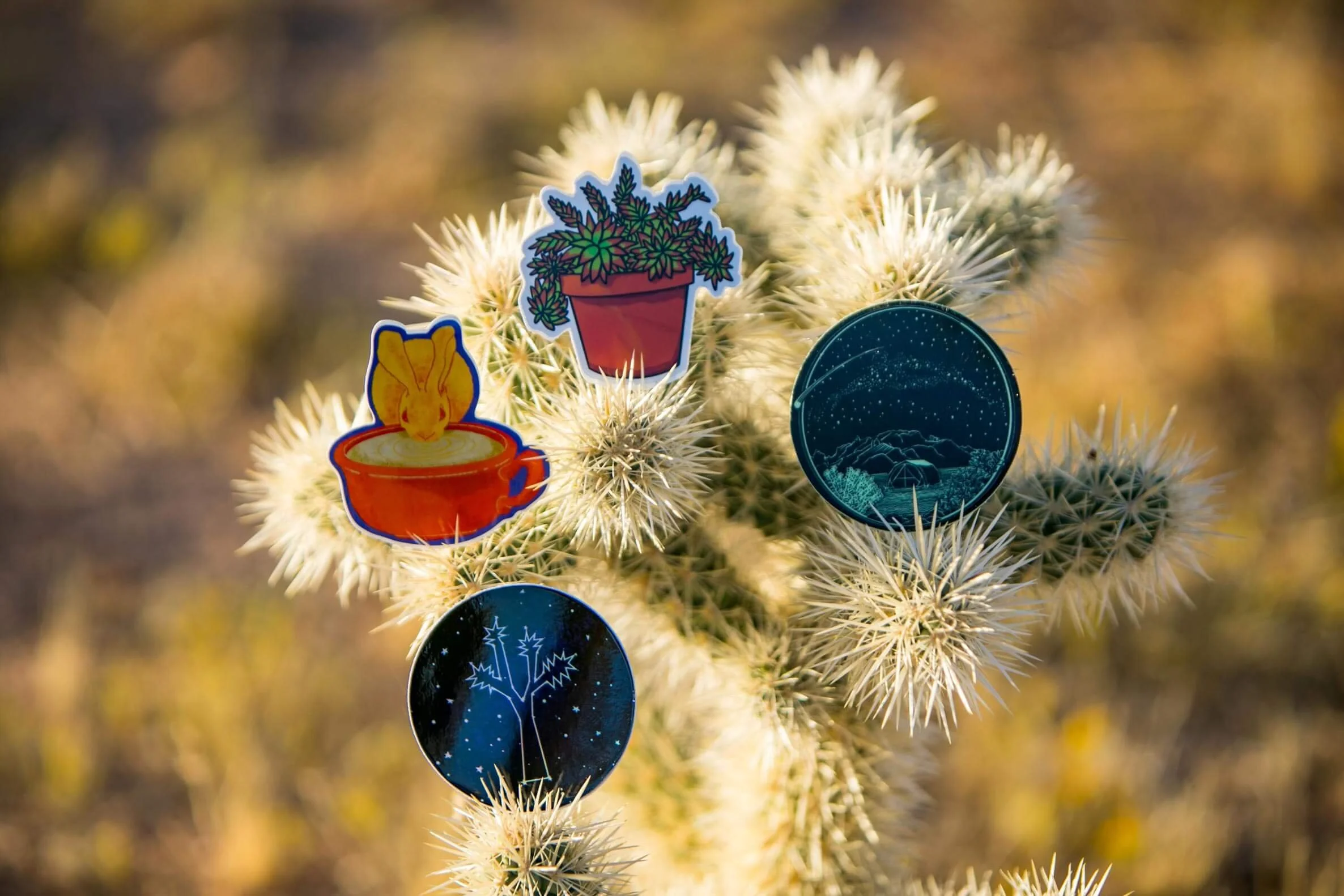 Decorative cactus with various stickers attached, including a potted plant, a coffee cup with a rabbit, and celestial images of stars and the night sky.