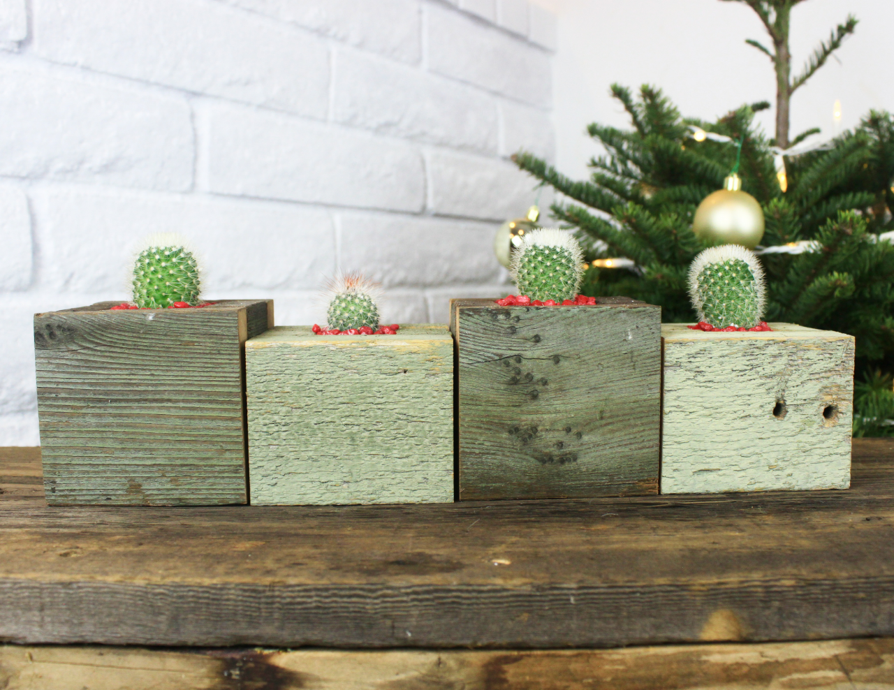 Four wooden blocks with small cacti on top, arranged in front of a Christmas tree with ornaments, on a wooden surface against a white brick wall.