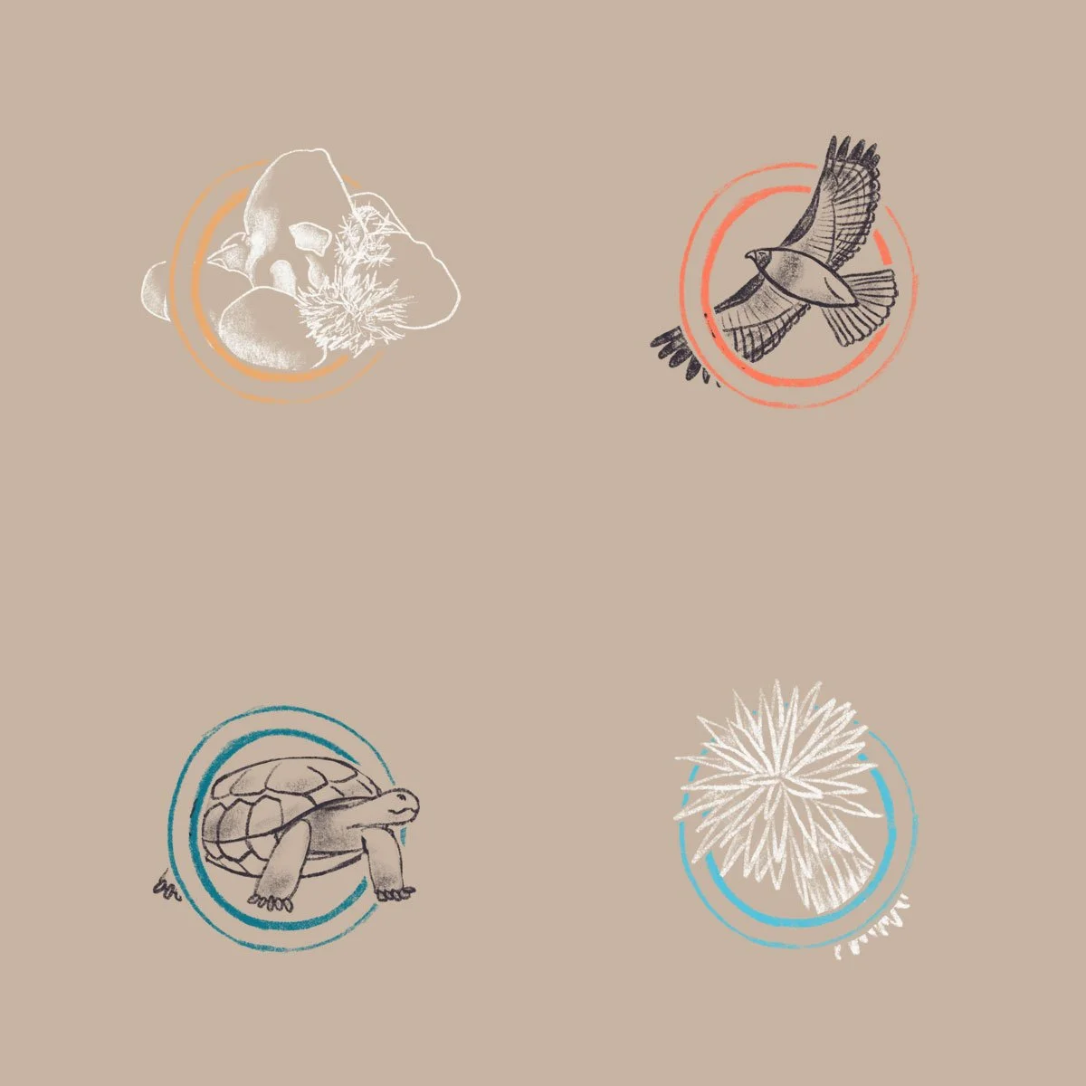 Illustrated icons of rocks, a bird, a tortoise, and a Joshua Tree branch tip, each within a colored circular outline on a beige background.