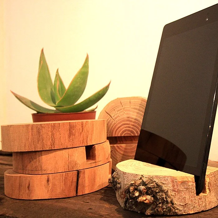 A succulent plant in a pot, displayed on stacked wooden circles, with a piece of wood and a black tablet or phone propped on a wooden circle, on a wooden surface.