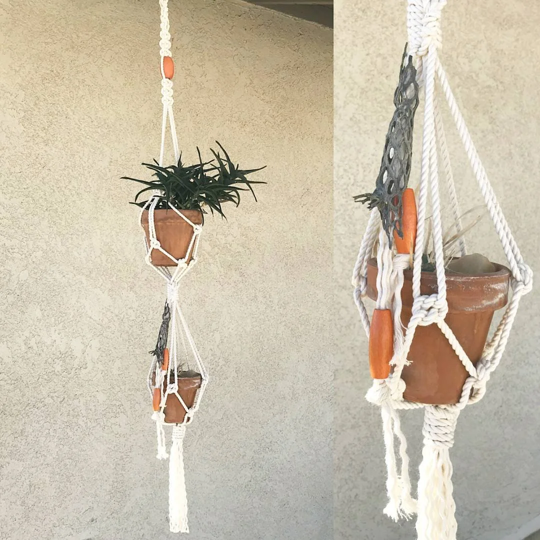 Hanging plant in a macrame plant holder on a beige wall.