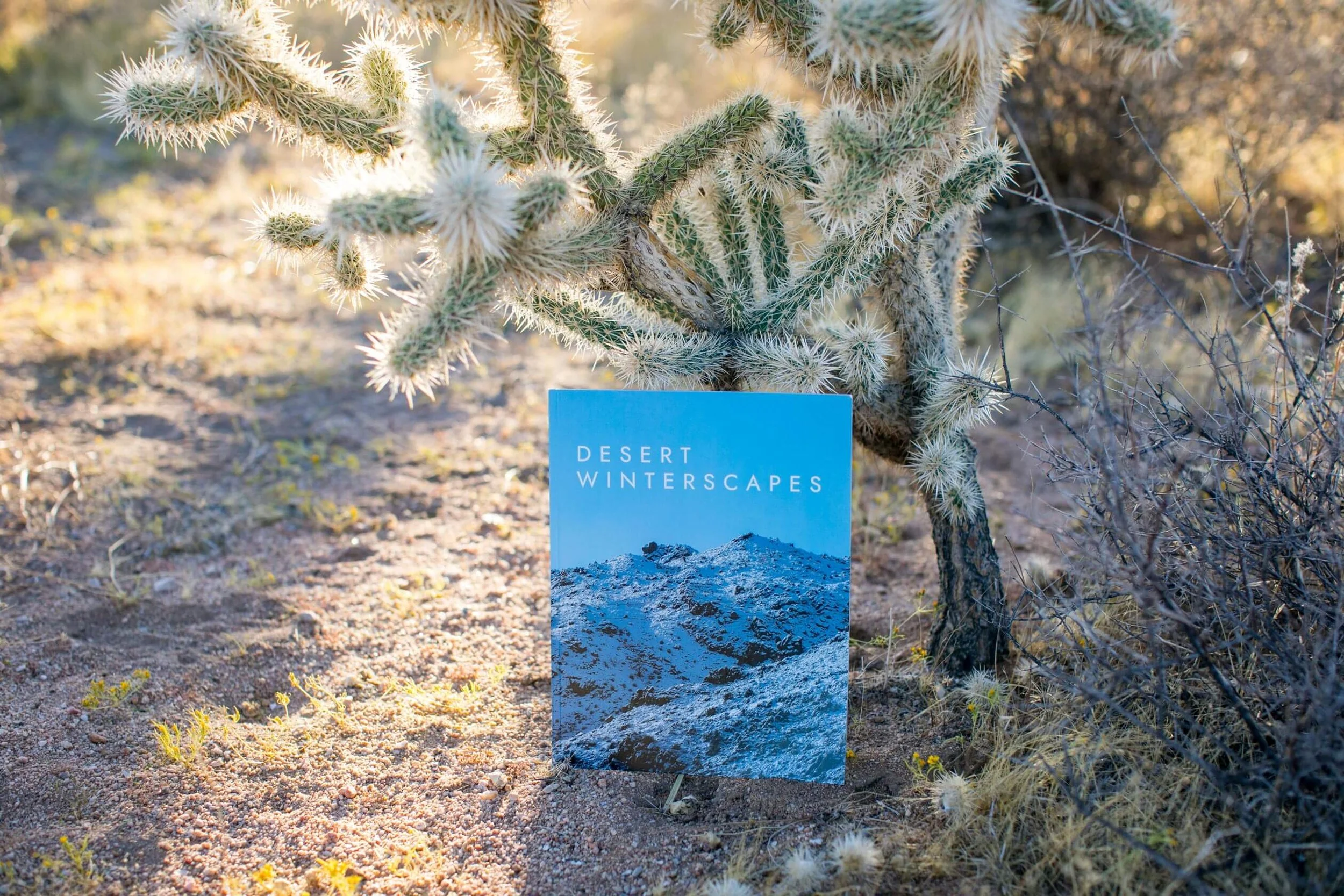 A desert landscape with a cactus and a magazine titled "Desert Winterscapes" in front of it.