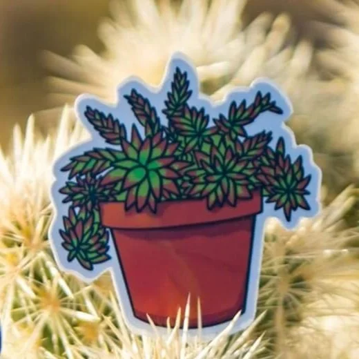 Crassula Succulent Sticker