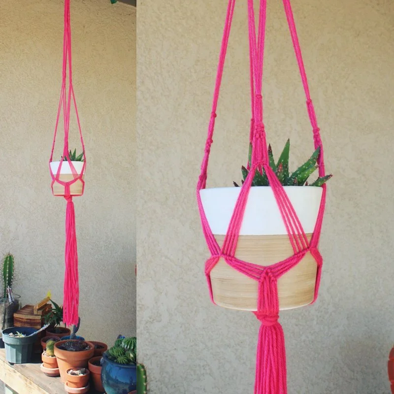 Hanging potted plant in a decorative pink macrame hanger on a beige wall, with a row of potted cacti on a wooden surface below.
