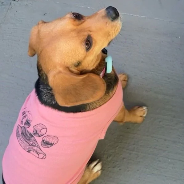 Paws, Prickly Pear, and Pines Dog Tank Top - Mauve