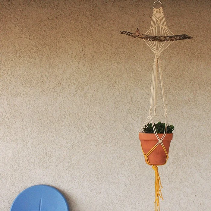 Hanging plant in a terracotta pot with green leaves, suspended by a macrame hanger from the ceiling, with a textured beige wall in the background and part of a blue object in the lower left corner.