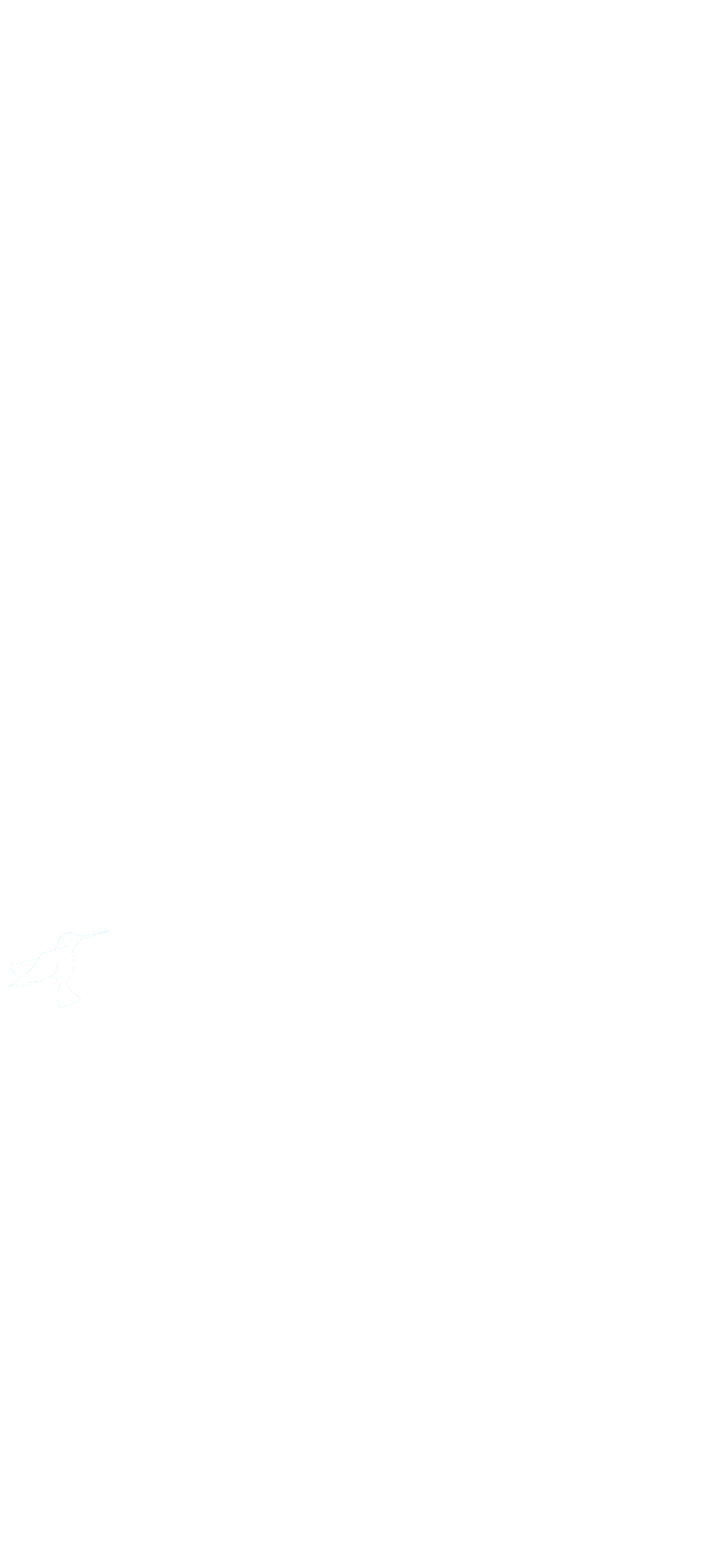 Silhouette of a person walking a dog at sunset with the sun near the horizon and birds flying in the sky.