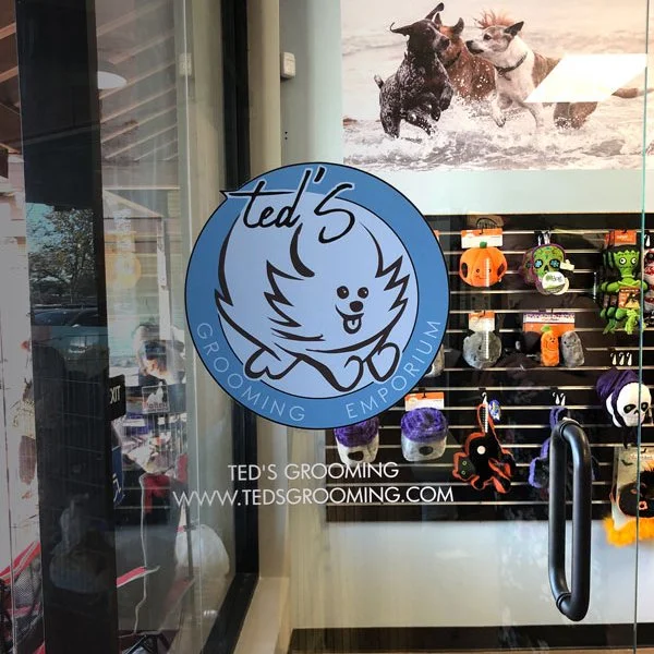 Storefront window of Ted's Grooming Emporium with a large logo of a cartoon dog, and Halloween-themed dog toys hanging inside, with a poster of two dogs playing in the water above.