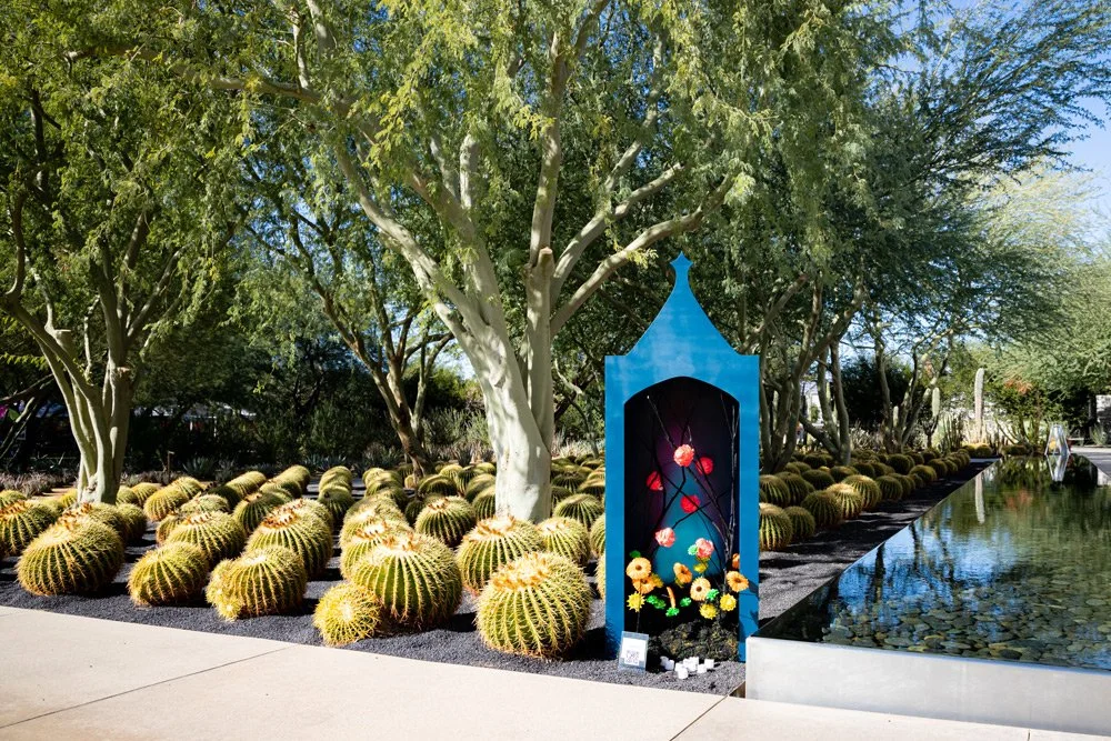 A landscaped outdoor area with a water feature on the right, numerous round cacti on the ground, and several large trees providing shade. There is a blue, decorative structure with flowers inside at the center.