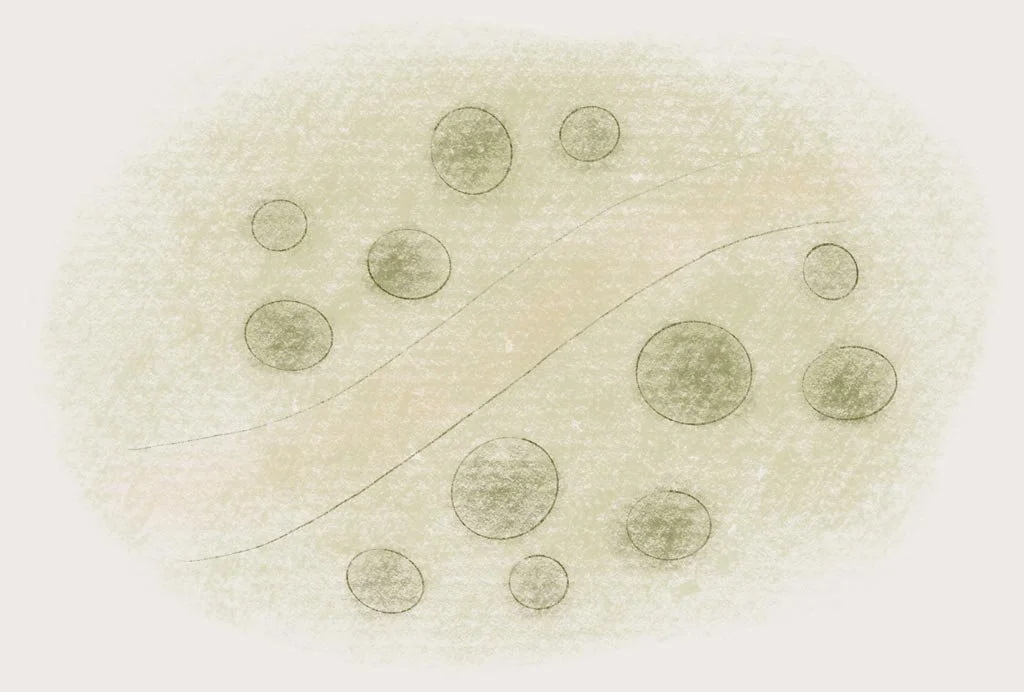 Abstract drawing of a branching line with various sized circles along the line, set against a beige background.