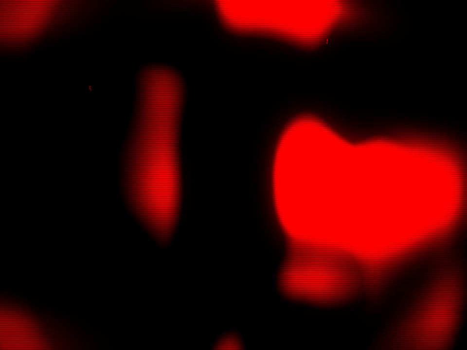 Coachella_GAG-03.gif