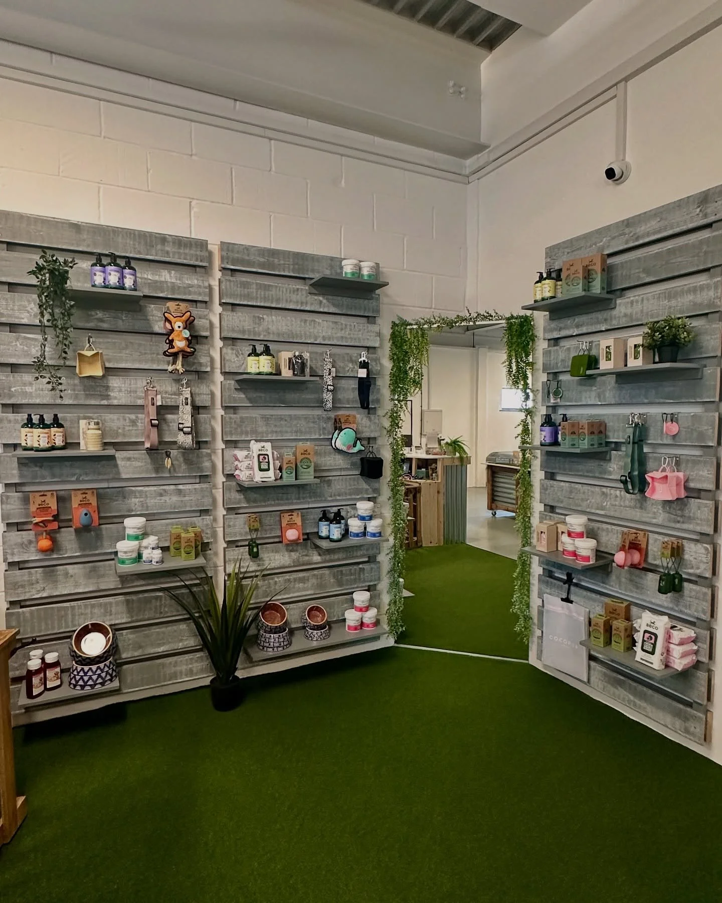 Inside Wild Dogs shop 