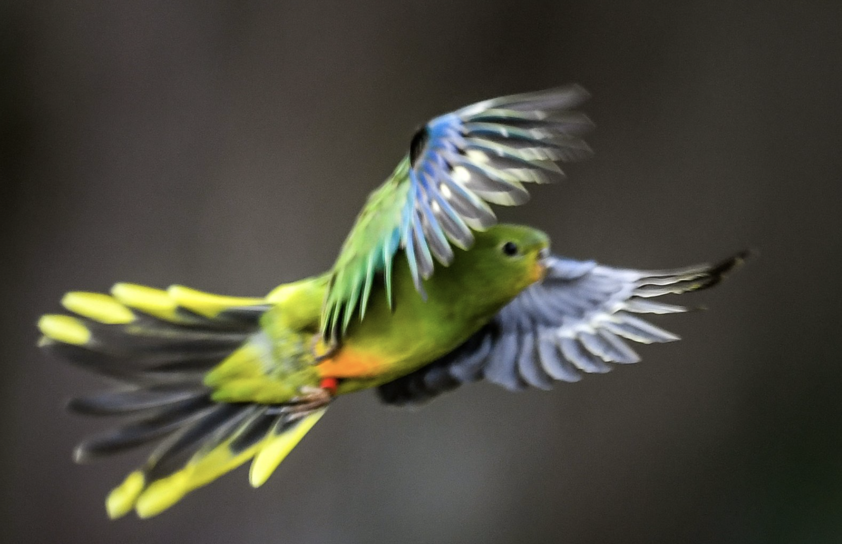 Screenshot 2024-10-25 at 4.16.54 pm.png