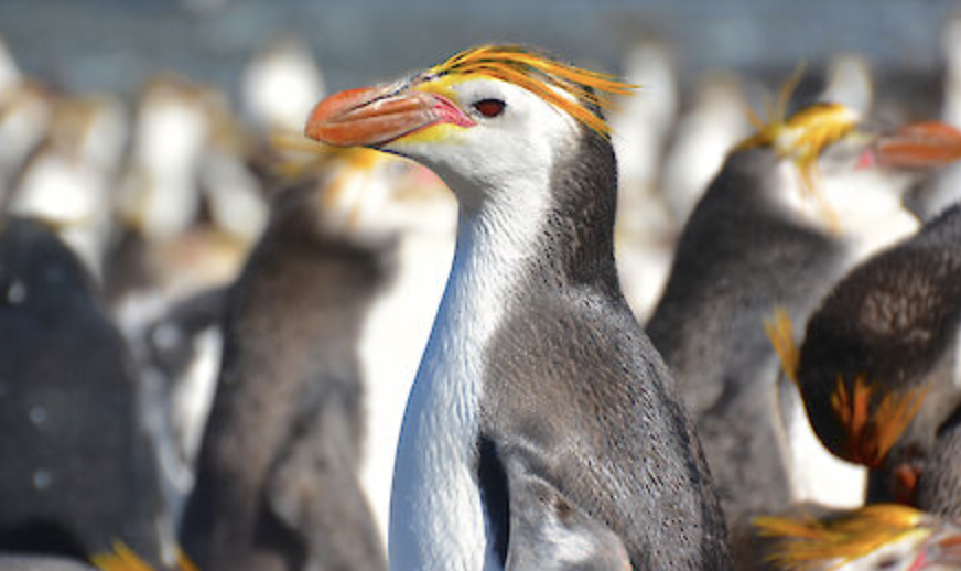 Screenshot 2024-10-26 at 8.12.02 pm.png