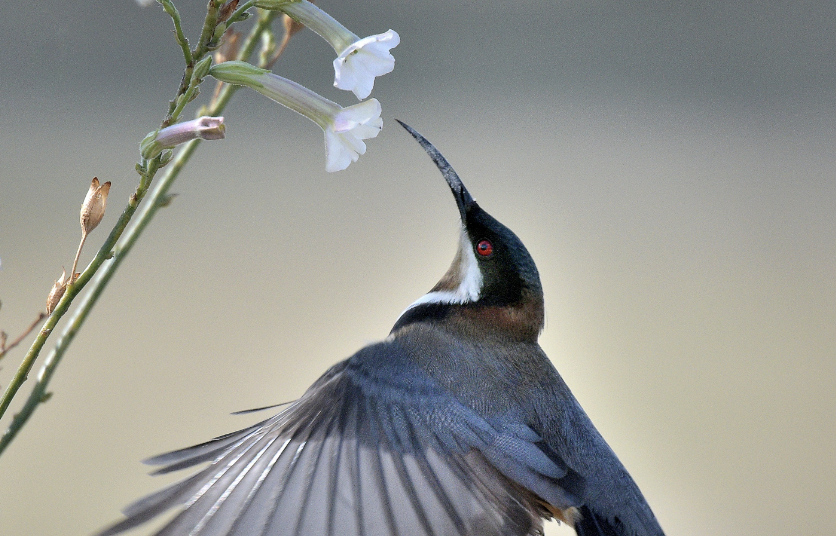 Screenshot 2024-10-19 at 3.07.57 pm.png