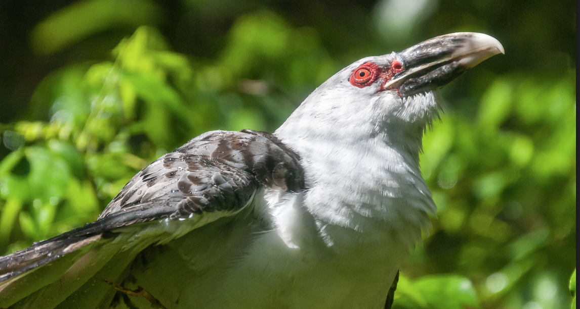 Screen Shot 2024-10-13 at 12.22.49 pm.png