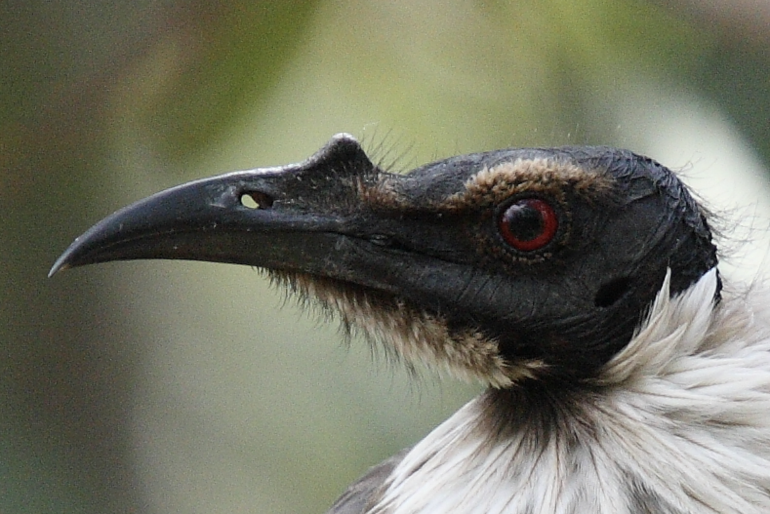 Screenshot 2024-10-25 at 4.04.36 pm.png