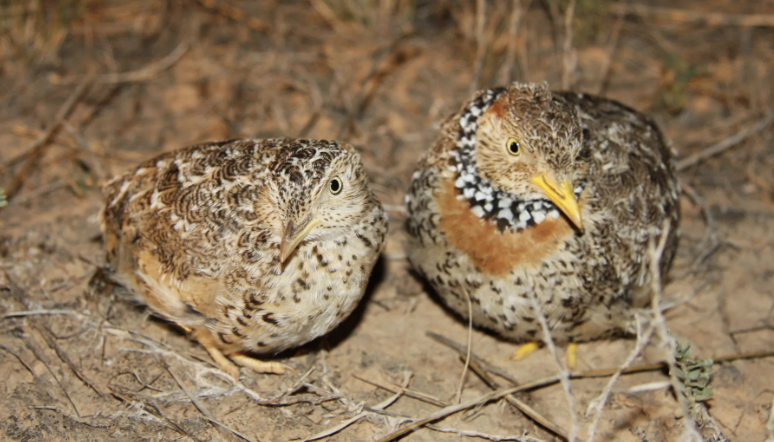 Screenshot 2024-10-25 at 5.08.21 pm.png