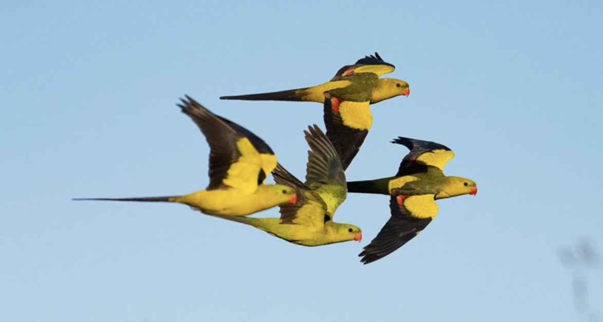 Screenshot 2024-10-26 at 7.49.55 pm.png