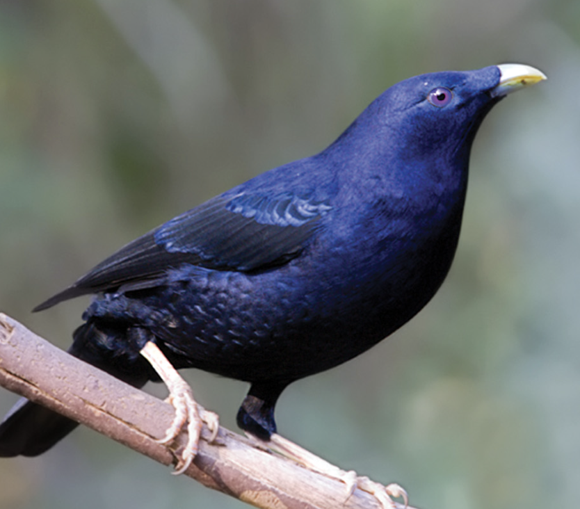 Screenshot 2024-10-28 at 9.04.49 am.png