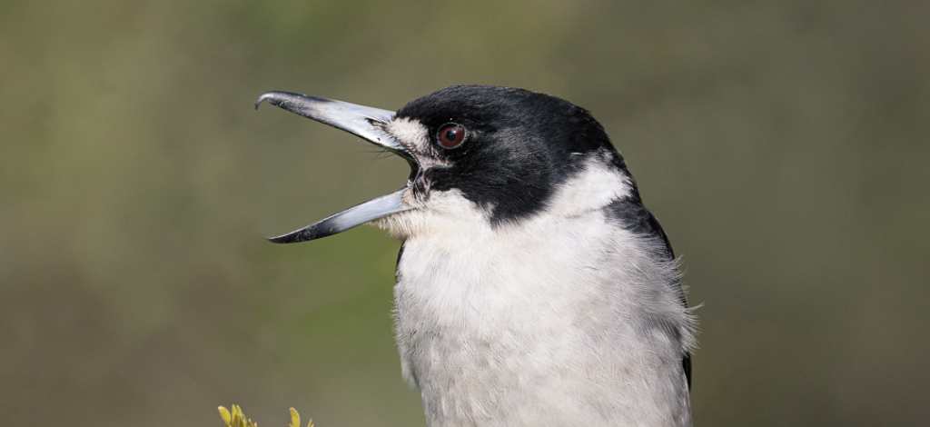 Screenshot 2024-10-20 at 10.50.40 am.png