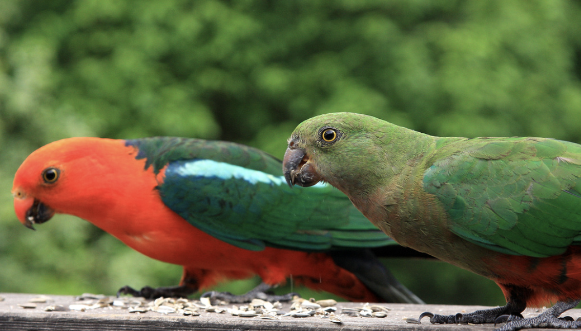 Screen Shot 2024-10-12 at 1.46.02 pm.png