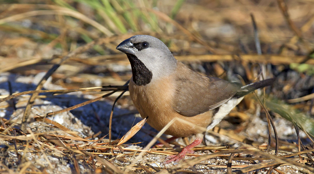 Screen Shot 2024-10-12 at 2.29.11 pm.png